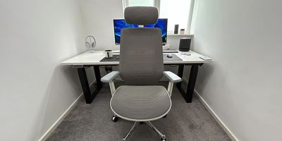 FlexiSpot BS11 Pro review: Breathable mesh makes this ergonomic office chair a dream
