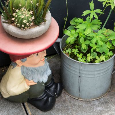 Love them or hate them, this controversial garden ornament is back, according to experts