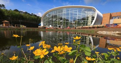 Center Parcs UK 'on sale for between £4bn and £5bn' - reports