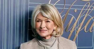 Martha Stewart, 81, strips for Sports Illustrated - and she's the oldest cover star EVER