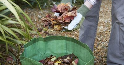 Concerns over recycling changes that could mean new bins and collections in Greater Manchester