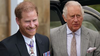 Prince Harry had ‘conversation’ with King Charles the night before the coronation but ‘hope’ was dashed