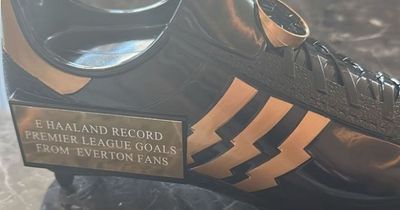 Erling Haaland reveals gift from 'Everton fans' after Premier League record