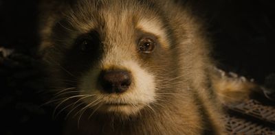 'Guardians of the Galaxy Vol. 3' urges us to defend real animals