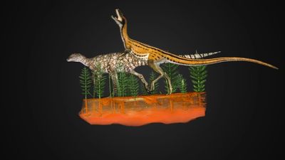 A CT scanner is changing our understanding of dinosaurs and the landscape of prehistoric outback Queensland