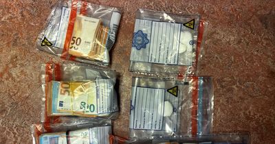 Gardai seize €20,000 in cash and cocaine in Kildare