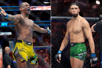 Video: Is Jailton Almeida or Johnny Walker more likely to win UFC title?