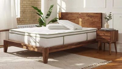 Are organic mattresses a hoax? What you need to know about greenwashing