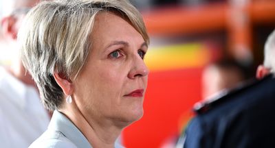 Plibersek’s hands are tied over coalmine approval but Labor could’ve changed that years ago