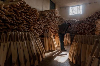 Not seeing the trees for the wood: willow shortage could spell end for Kashmir’s cricket bat industry