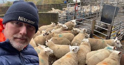 Farmer blasts 'idiots' after seeing lamb 'savaged' in attack