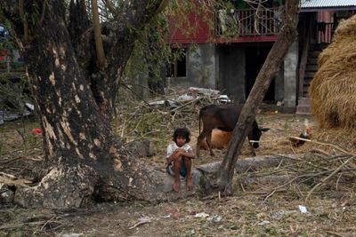 Cyclone toll in Myanmar's Rakhine state at least 41