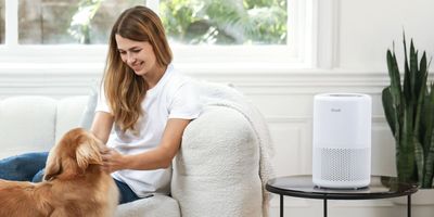 A Top-Rated Smart Air Purifier That Provides 'Instant Relief’ from Allergies Is Just $80 Right Now