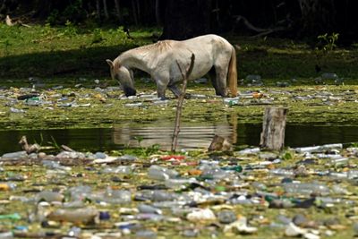 UN: Time running out in war on plastic pollution