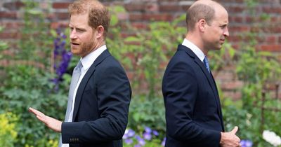 Prince Harry and Prince William's fiery feud 'could continue for years', according to close pal