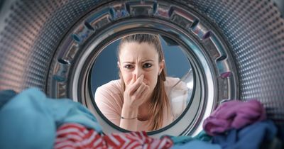 Mrs Hinch fan shares 4p cleaning hack to banish nasty washing machine smells and mould