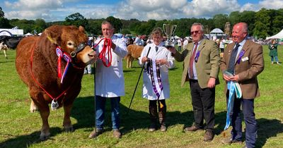 Northumberland County Show returns with 'amazing' racing camels and giant tortoises