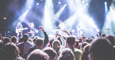 Police officer lied about being on duty to get into festival, and get backstage