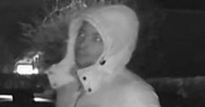 CCTV image released as police investigate series of attempted thefts in Newcastle