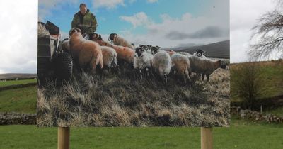 Farm photographs go on display in landscape that inspired them