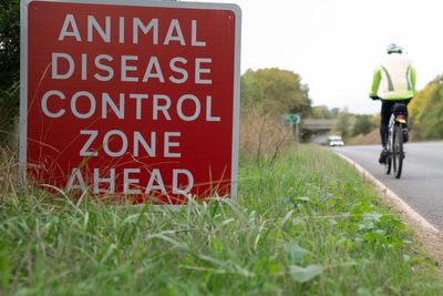 Two people test positive for bird flu after infection at farm in England