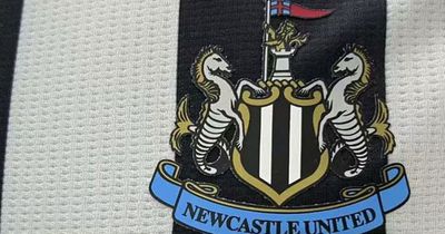 Newcastle United fans react to kit 'leak' as 2023/24 shirt design surfaces amid adidas links