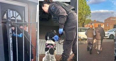 Two arrests as Bentley, bags of cash and 'counterfeit goods' seized in blitz on money laundering