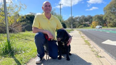 Blind and low-vision community calling on federal government to install noise emitters on all electric vehicles