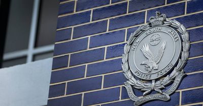 Residents allegedly threatened with nail gun during home invasion