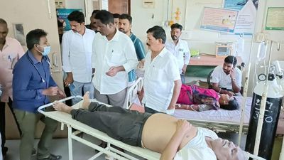 One dead, 20 injured in attack by honey bees in Atmakur