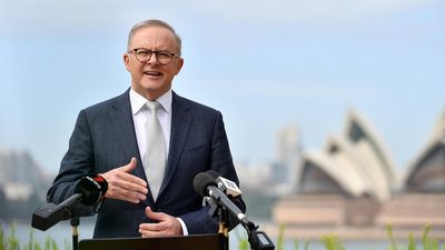 Prime Minister Anthony Albanese cancels Quad meeting after US President Joe Biden pulls out