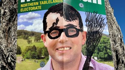 Artistically defaced election signs of MP Adam Marshall to hang in rural NSW art gallery