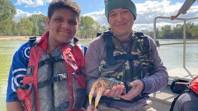 Murray crayfish released into River Murray in significant population boost for Erawirung 'totem'