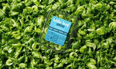 A US company is trying to trademark the shape of its lettuce – but this is just the tip of the iceberg