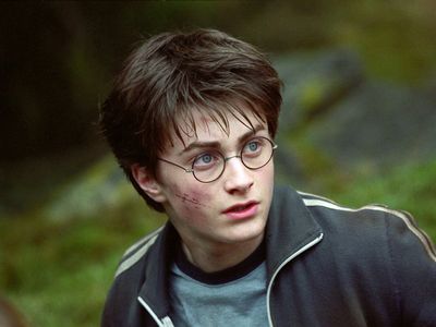 Netflix adds all eight Harry Potter films to its streaming service