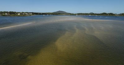 'Diabolical': Myall River is becoming a natural disaster