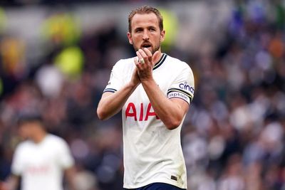 Dimitar Berbatov warns Harry Kane not to ‘tarnish’ Tottenham legacy by leaving