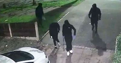 Moment masked machete gang held blades to girls' throats in front of dad before robbing home