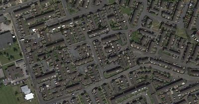 Woman suffers serious injuries after being attacked by two dogs