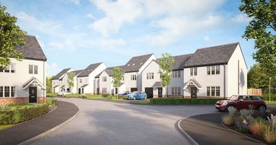 Plans submitted for 342-home development at Blindwells
