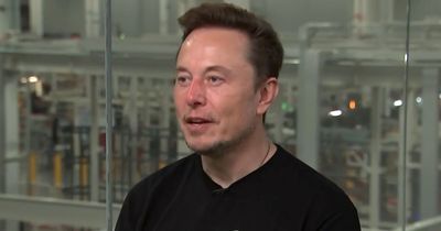 Elon Musk says US and China tensions over Taiwan control should be 'concern for everyone'