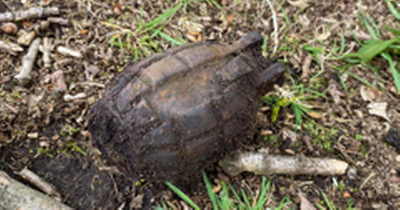 Dad in disbelief after 8-year-old son finds 'grenade' in Mansfield park