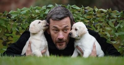 Guide dog puppies lead through 'boot camp' - by former special forces officer