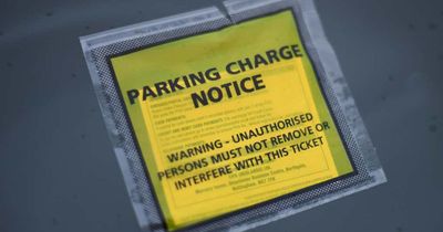 Council apologises after entire car park ticketed by mistake