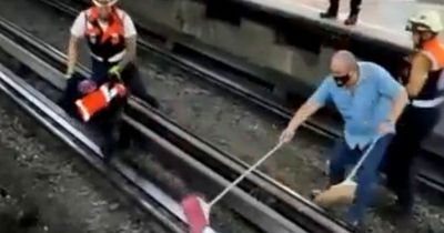 Chicken loose on railway shuts down city trains as men with brooms chase it