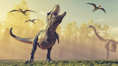 1.7 billion Tyrannosaurus rexes walked the Earth before going extinct, new study estimates