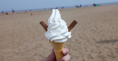 Chocolate fans shudder after discovering full sugar content of a Cadbury Flake 99