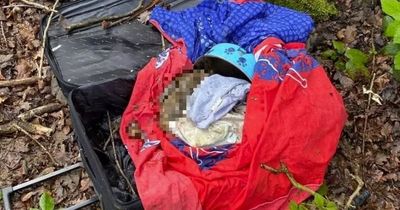 Dead dog abandoned in suitcase and thrown in ditch