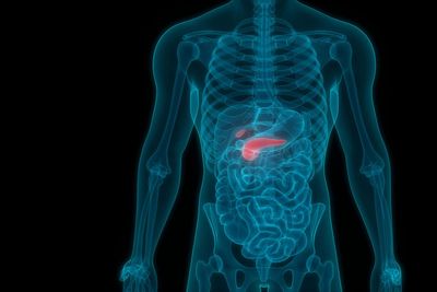 How pancreatic cancer ‘changes diet’ to make tumours spread