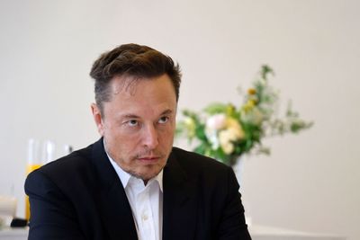 Elon goes off rails on white supremacy